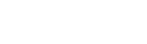 AVIS Logo